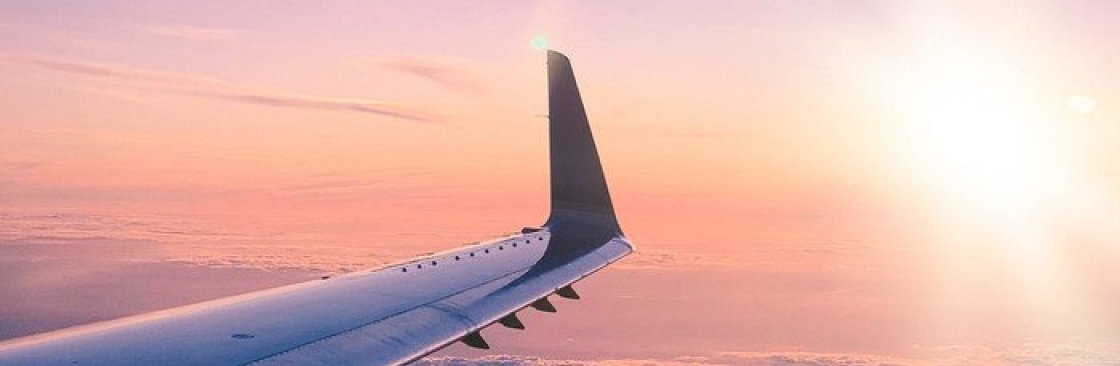 juvenal Marks Cover Image